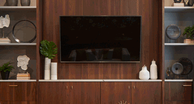 Entertainment room