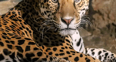 Milwaukee County Zoo 