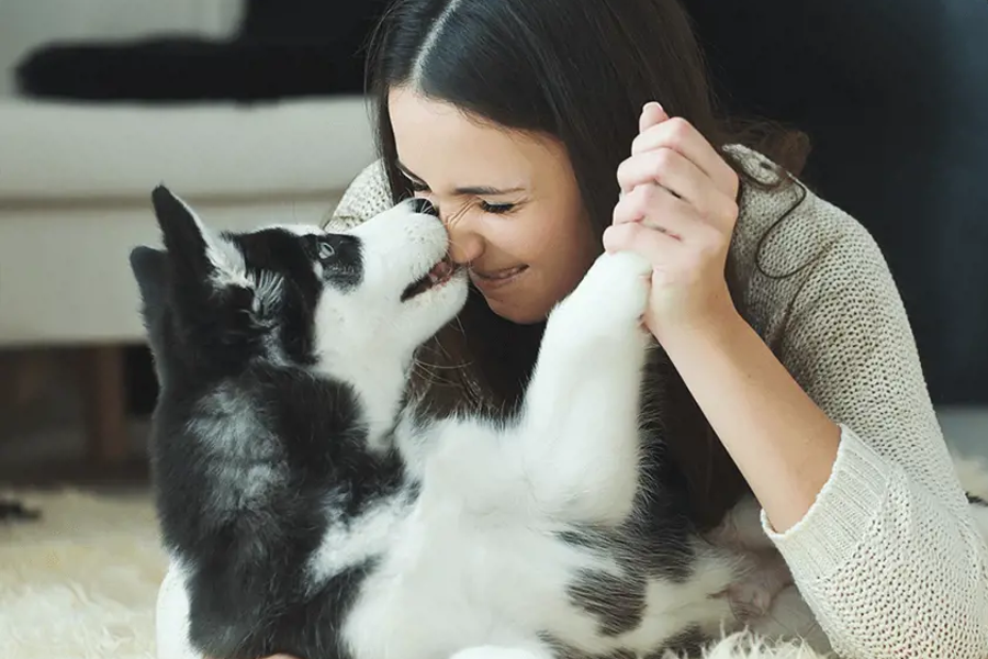 FOUR-LEGGED GUESTS WELCOME
