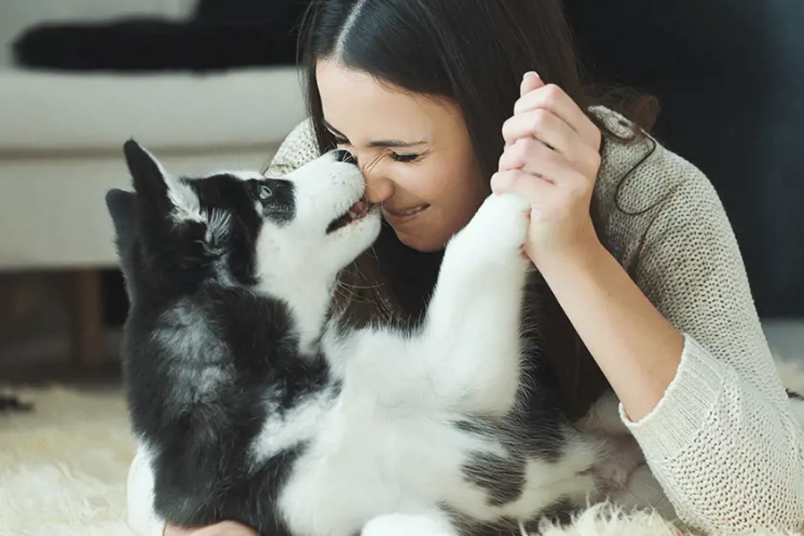 FOUR-LEGGED GUESTS WELCOME