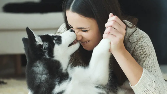 FOUR-LEGGED GUESTS WELCOME