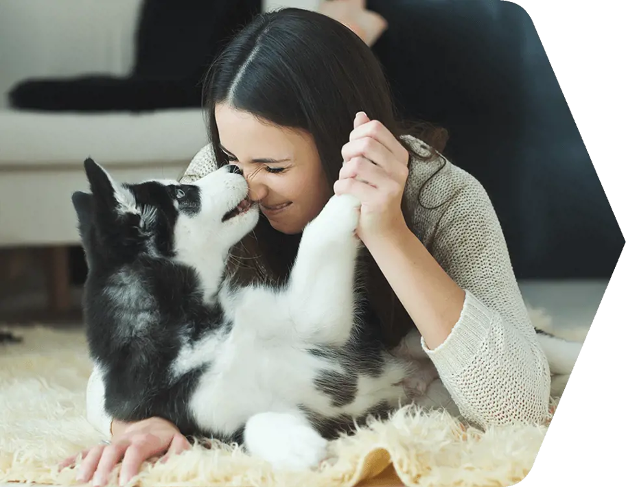 Girl playing with husky puppy