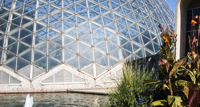 Dome