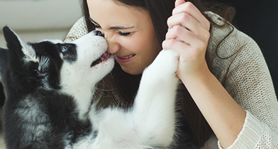 Pet