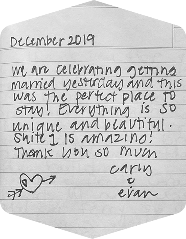 Carli & Evan written testimonial
